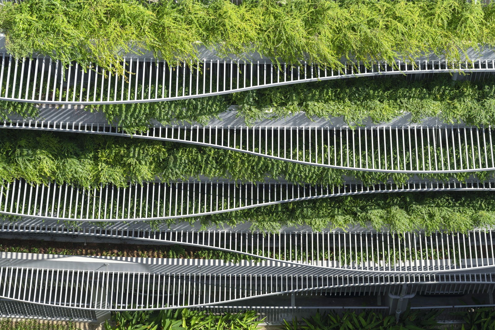 image of HDB TAMPINES GREENOPAL